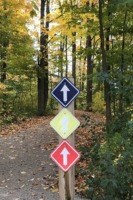 Sales and Organizational Alignment - Blog Image for Shade's Mills Group